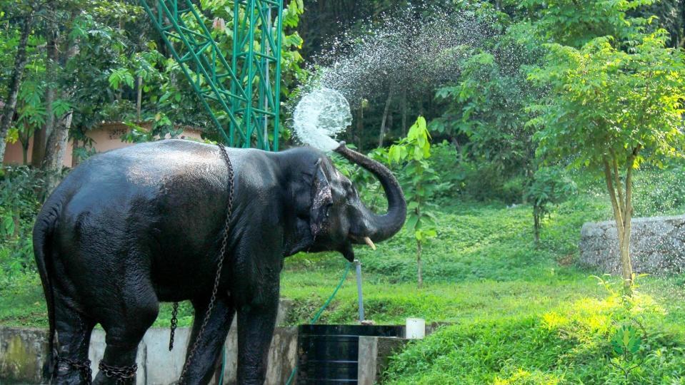 Willa Swasthi Griha Aranmula Zewnętrze zdjęcie